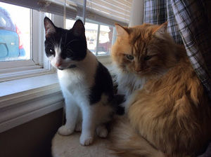 Meet your Posher, Anna marie